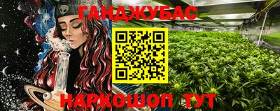 прущие крисы Будённовск