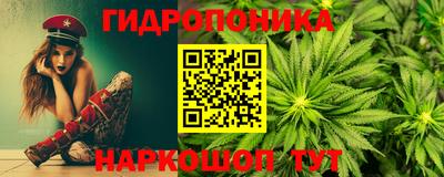 прущие крисы Будённовск