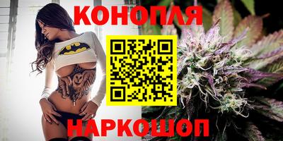 прущие крисы Будённовск