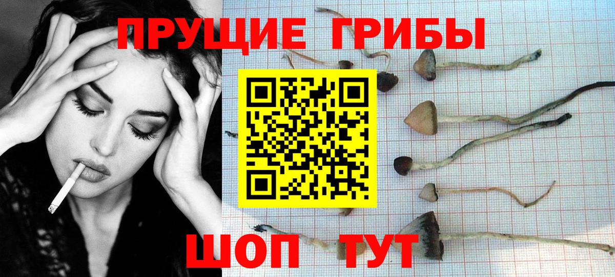 Самара  Галлюциногенные грибы Psilocybine cubensis  Вход с VPN 