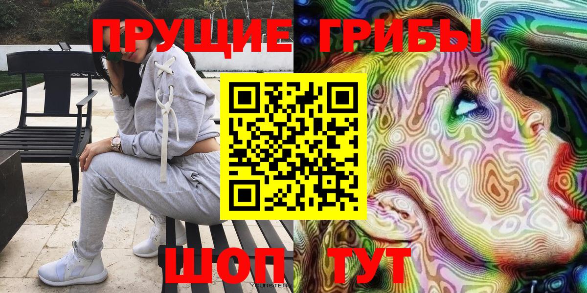 Псилоцибиновые грибы Psilocybe Самара
